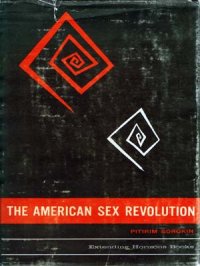 Американская сексуальная революция. Сорокин Питирим - читать в Рулиб