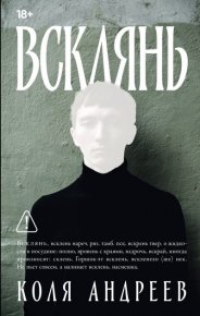 Всклянь. Андреев Коля - читать в Рулиб