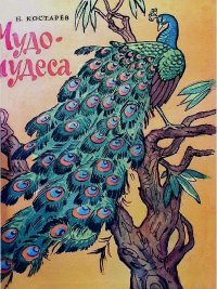 Чудо-чудеса. Костарев Николай - читать в Рулиб