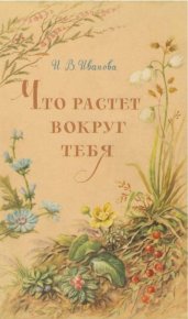 Что растёт вокруг тебя. Иванова Инесса - читать в Рулиб