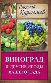 Виноград и другие ягоды вашего сада. Курдюмов Николай - читать в Рулиб