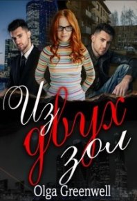 Из Двух Зол. Гринвэлл Ольга - читать в Рулиб