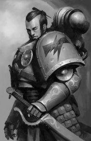 Боевой ястреб. Райт Крис - читать в Рулиб