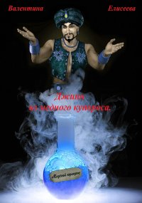 Джинн из медного купороса. Елисеева Валентина - читать в Рулиб