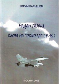 Мадам Гали – 3. Охота на «Сокола» (F-16). Барышев Юрий - читать в Рулиб