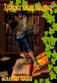 Хроники юного колдуна: Земляная кошка. Корчагин Павел - читать в Рулиб