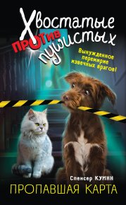 Пропавшая карта. Куинн Спенсер - читать в Рулиб