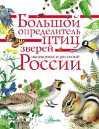 Большой определитель птиц, зверей, насекомых и растений России. Коллектив авторов - читать в Рулиб