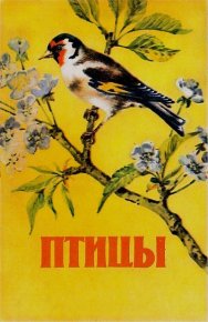 Птицы. Автор Неизвестен -- Детская литература - читать в Рулиб