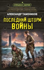 Последний шторм войны. Тамоников Александр - читать в Рулиб