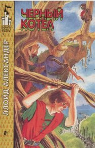 Чёрный котёл. Александер Ллойд - читать в Рулиб