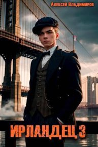 Ирландец 3 (СИ). Владимиров Алексей - читать в Рулиб