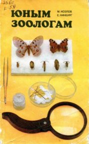Юным зоологам. Наземные и пресноводные беспозвоночные. Козлов Михаил - читать в Рулиб