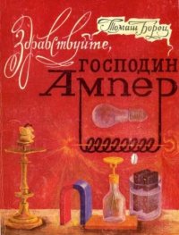 Здравствуйте, господин Ампер. Борец Томаш - читать в Рулиб