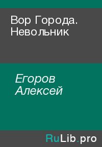 Вор Города. Невольник. Егоров Алексей - читать в Рулиб