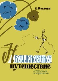 Необыкновенное путешествие. Павлова Евдокия - читать в Рулиб