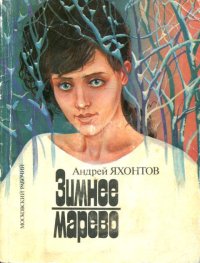 Зимнее марево. Яхонтов Андрей - читать в Рулиб
