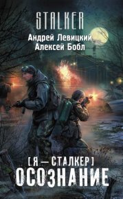 Осознание. Левицкий Андрей - читать в Рулиб