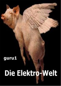 Die Elektro-Welt. guru1 - читать в Рулиб