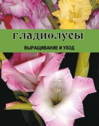 Гладиолусы. Выращивание и уход. Резько Дарья - читать в Рулиб