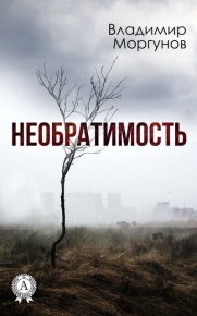 Необратимость. Моргунов Владимир - читать в Рулиб