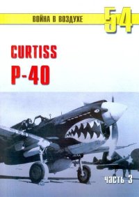 Curtiss P-40 часть 3. Иванов С - читать в Рулиб