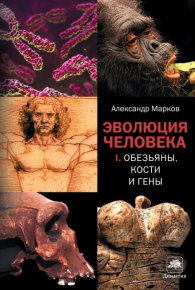 Эволюция человека. Книга 1. Обезьяны, кости и гены. Марков Александр (2) (биолог) - читать в Рулиб