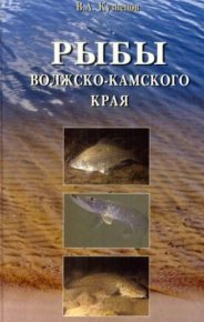 Рыбы Волжко-Камского края. Кузнецов В. - читать в Рулиб