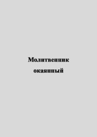 Молитвенник окаянный. Неизвестен Автор - Rulib.pro Молитвенник окаянный. Неизвестен Автор - читать в Рулиб