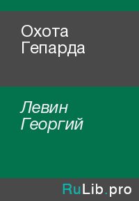 Охота Гепарда. Левин Георгий - Rulib.pro Охота Гепарда. Левин Георгий - читать в Рулиб