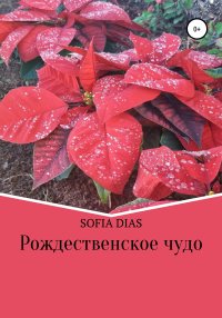 Рождественское Чудо. Sofia Dias - читать в Рулиб