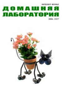 Интернет-журнал "Домашняя лаборатория", 2007 №6. (Журнал «Домашняя лаборатория») - читать в Рулиб