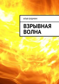 Взрывная волна. Бушмин Илья - читать в Рулиб