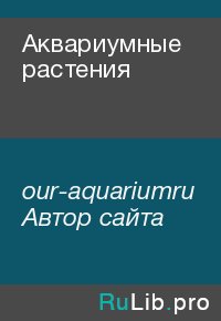 Аквариумные растения. our-aquariumru Автор сайта - читать в Рулиб