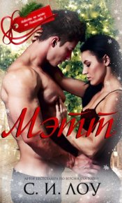 Мэтт. Лоу С. - читать в Рулиб