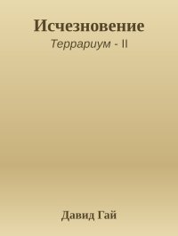 Исчезновение. Гай Давид - читать в Рулиб