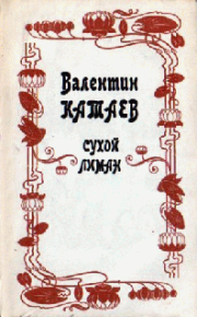 Спящий. Катаев Валентин - читать в Рулиб