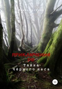 Приключения ДД. Тайна Чёрного леса. Ляшко Евгения - читать в Рулиб