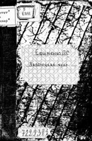 Заволоцкая чудь. Ефименко П. - читать в Рулиб