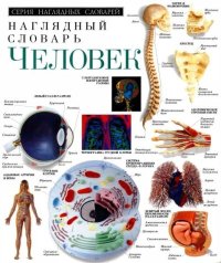 Человек. Наглядный словарь. Автор неизвестен - читать в Рулиб