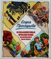 Необыкновенные приключения обыкновенных мальчишек. Прокофьева Софья - читать в Рулиб
