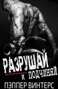Разрушай и подчиняй (ЛП). Винтерс Пэппер - читать в Рулиб