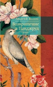 Возвращение в Панджруд. Волос Андрей - читать в Рулиб