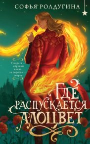 Где распускается алоцвет. Ролдугина Софья - читать в Рулиб