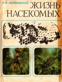 Жизнь насекомых. Мариковский Павел - читать в Рулиб