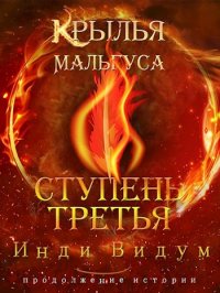 Ступень третья. Часть вторая. Видум Инди - читать в Рулиб