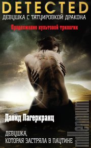 Девушка, которая застряла в паутине. Ларссон Стиг - читать в Рулиб