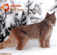 Руководство по переходу на Ubuntu 10.04 LTS «Lucid Lynx». Неворотин Вадим - читать в Рулиб