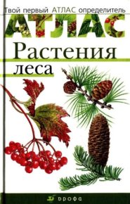 Растения леса. Сивоглазов Владислав - читать в Рулиб