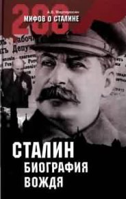 Сталин: биография вождя. Мартиросян Арсен - читать в Рулиб